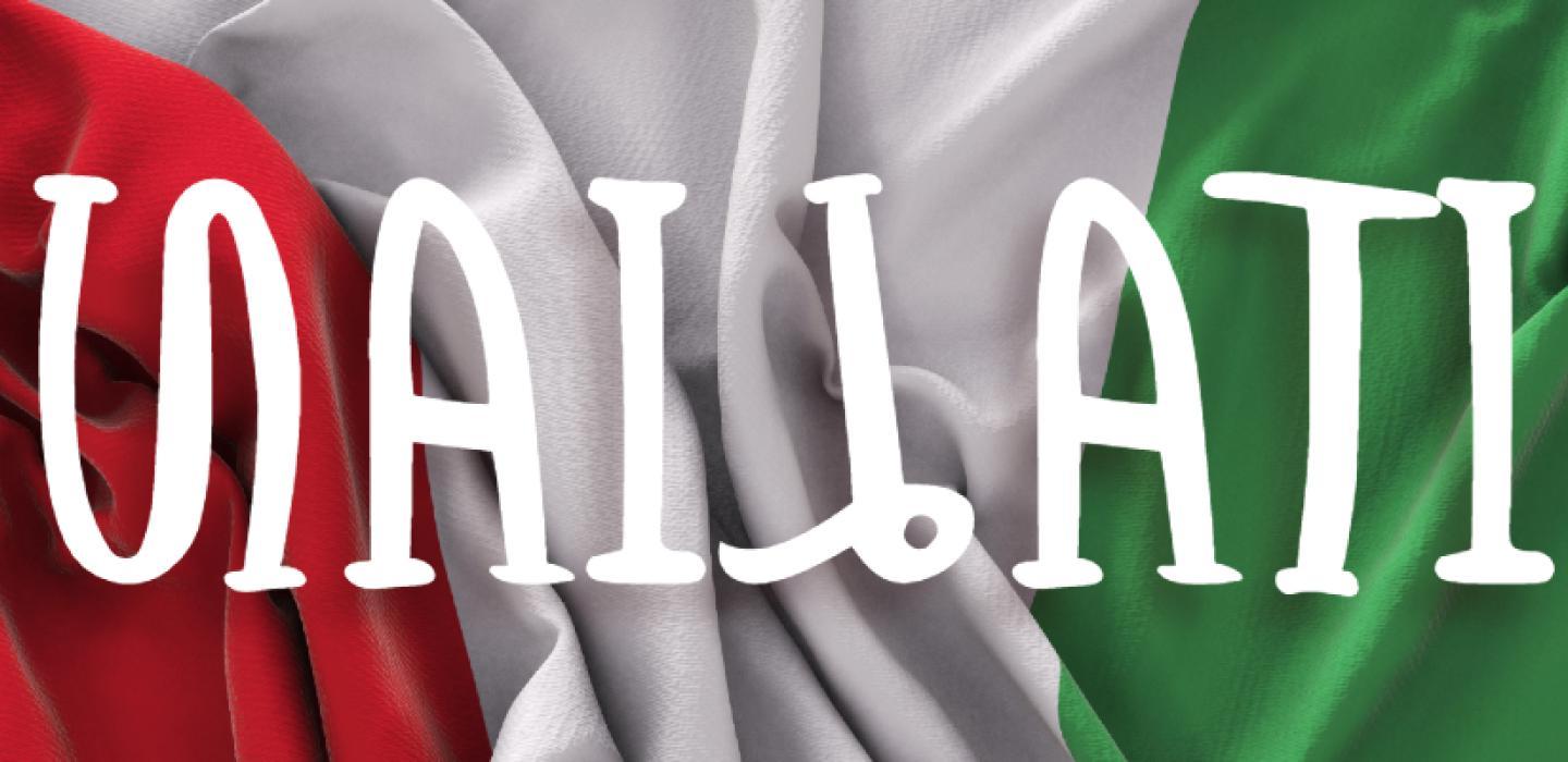 意大利国旗上面覆盖着“意大利”字样.